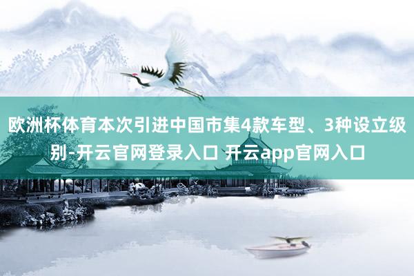 欧洲杯体育本次引进中国市集4款车型、3种设立级别-开云官网登录入口 开云app官网入口