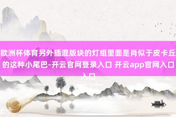 欧洲杯体育另外插混版块的灯组里面是肖似于皮卡丘的这种小尾巴-开云官网登录入口 开云app官网入口