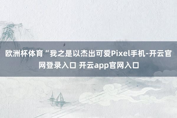 欧洲杯体育“我之是以杰出可爱Pixel手机-开云官网登录入口 开云app官网入口