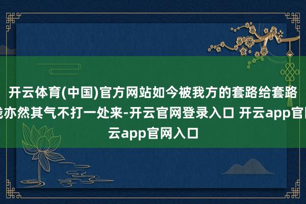 开云体育(中国)官方网站如今被我方的套路给套路的本钱亦然其气不打一处来-开云官网登录入口 开云app官网入口