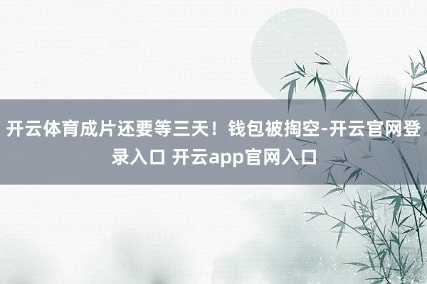 开云体育成片还要等三天！钱包被掏空-开云官网登录入口 开云app官网入口