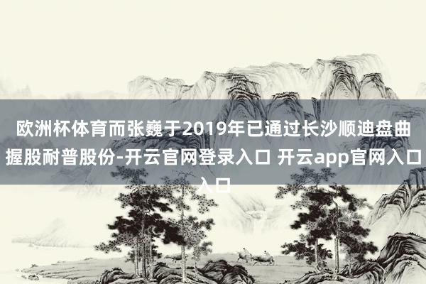 欧洲杯体育而张巍于2019年已通过长沙顺迪盘曲握股耐普股份-开云官网登录入口 开云app官网入口