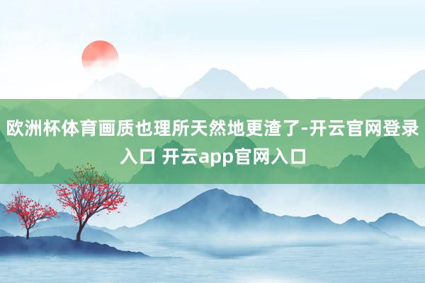 欧洲杯体育画质也理所天然地更渣了-开云官网登录入口 开云app官网入口