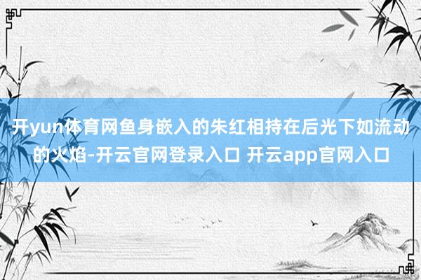 开yun体育网鱼身嵌入的朱红相持在后光下如流动的火焰-开云官网登录入口 开云app官网入口