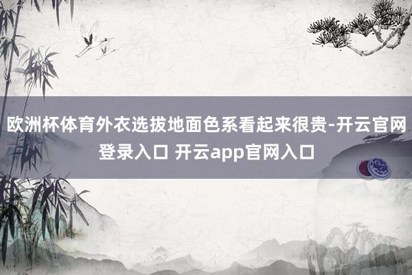 欧洲杯体育外衣选拔地面色系看起来很贵-开云官网登录入口 开云app官网入口
