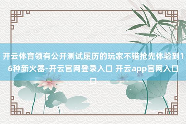 开云体育领有公开测试履历的玩家不错抢先体验到16种新火器-开云官网登录入口 开云app官网入口
