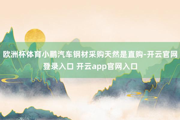 欧洲杯体育小鹏汽车钢材采购天然是直购-开云官网登录入口 开云app官网入口