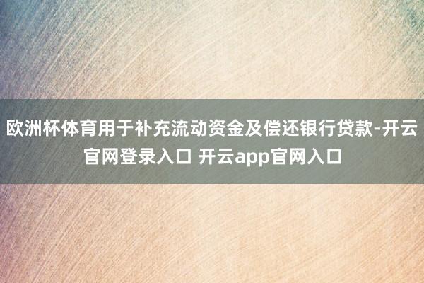 欧洲杯体育用于补充流动资金及偿还银行贷款-开云官网登录入口 