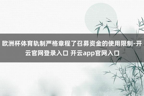 欧洲杯体育轨制严格章程了召募资金的使用限制-开云官网登录入口 开云app官网入口