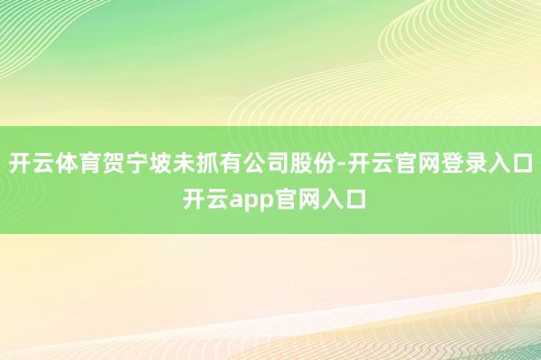 开云体育贺宁坡未抓有公司股份-开云官网登录入口 开云app官网入口