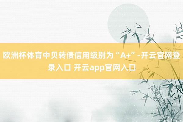 欧洲杯体育中贝转债信用级别为“A+”-开云官网登录入口 开云app官网入口