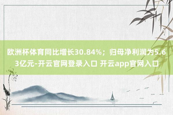 欧洲杯体育同比增长30.84%；归母净利润为5.63亿元-开云官网登录入口 开云app官网入口